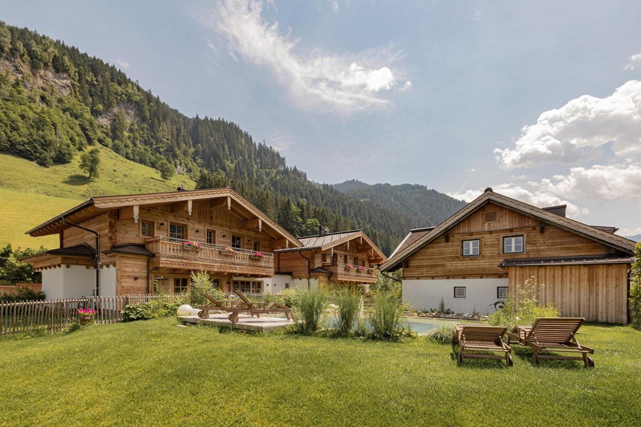 Birnbaum Chalets גרוסארל מראה חיצוני תמונה