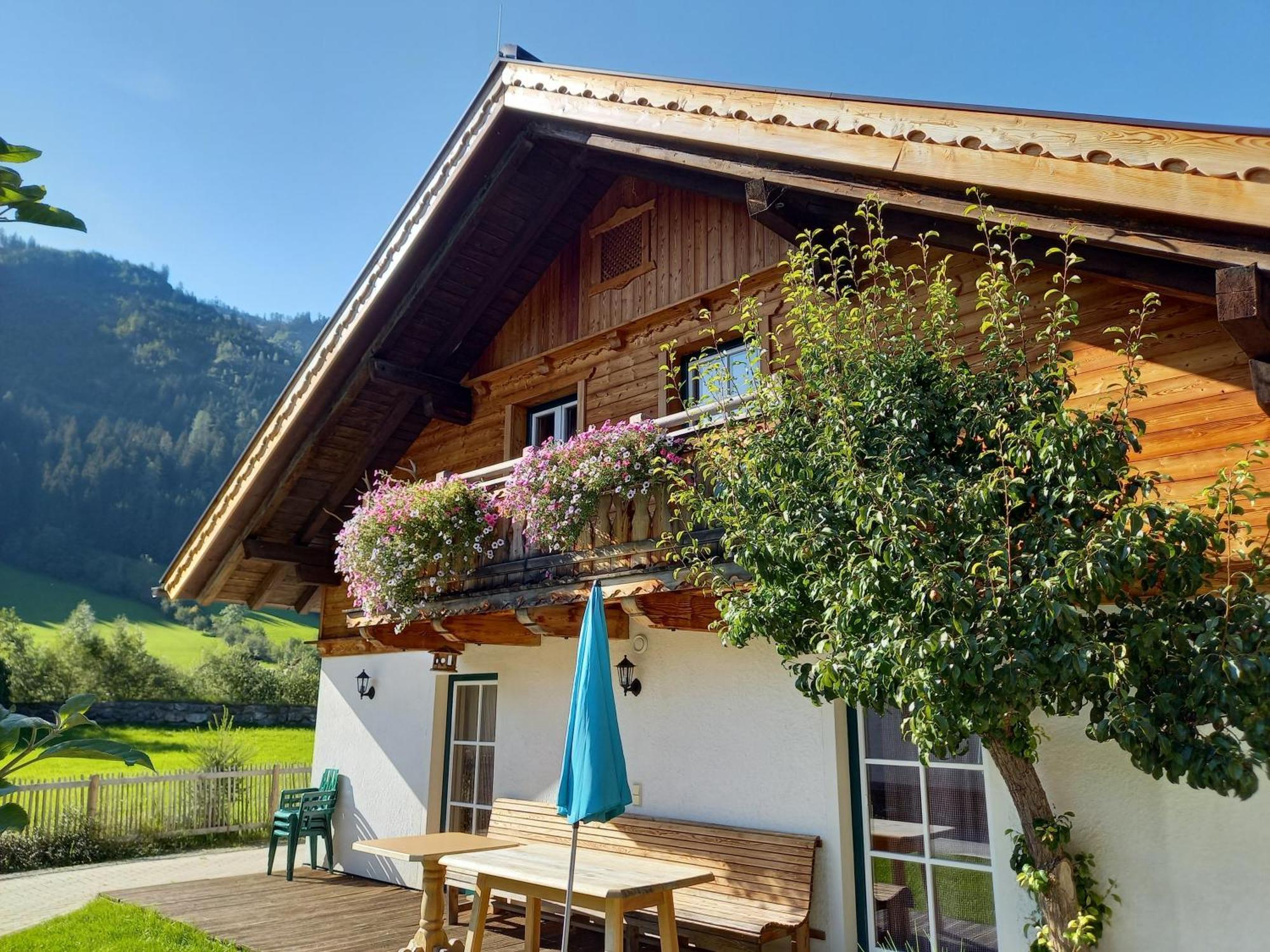 Birnbaum Chalets גרוסארל מראה חיצוני תמונה